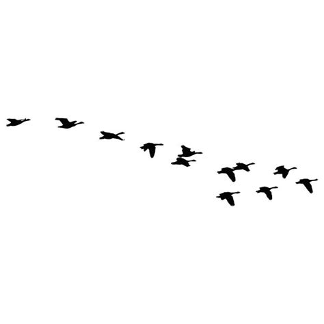 Flock of flying geese silhouette | Flying bird silhouette, Flying geese ...