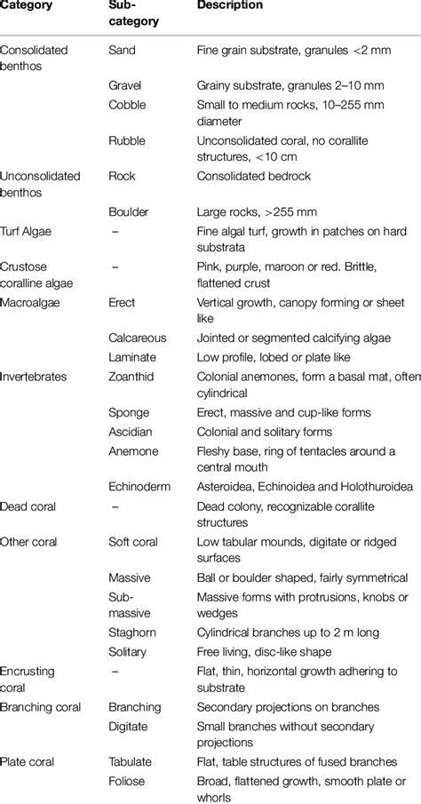 Benthic classification categories for photo analysis. | Download ...