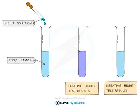 Biological Molecule Tests Cie As Biology Revision Notes