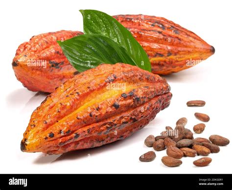 Open Cacao Pod Hi Res Stock Photography And Images Alamy