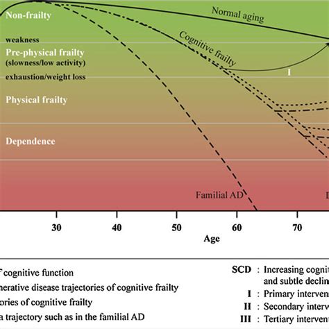 The Components Of Cognitive Frailty And Different Trajectories Of Both