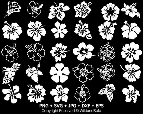 30 Hawaii Hibiscus Flower Svg Bundle Tropical Flower Svg Etsy