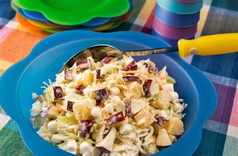 24 Receitas De Salada De Repolho Diferentes E Gostosas