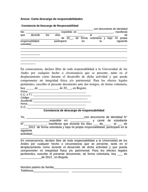 DOCX Carta Descargo De Responsabilidad DOKUMEN TIPS