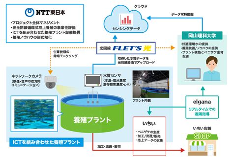 完全閉鎖循環式陸上養殖ビジネス化に向けた挑戦｜法人のお客さま｜ntt東日本