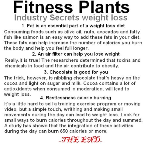 Weight Loss | houssemg