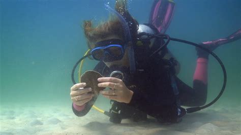 Beginner Diving At The Jetties In Destin Fort Walton Beach Youtube