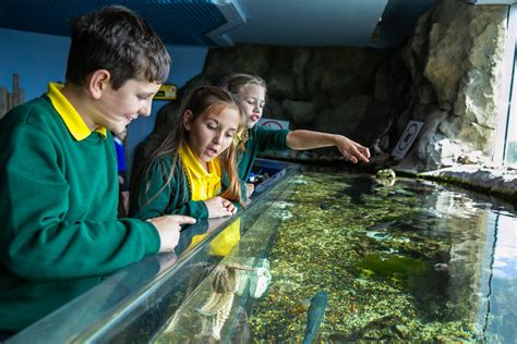 Oct Learning Programme School Visits National Marine Aquarium