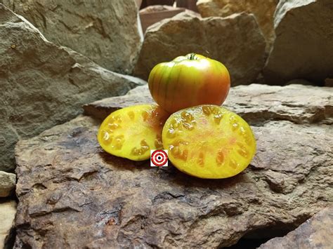 Jewel Tone Tomato Bounty Hunter Seeds Rare Heirloom Tomatoes