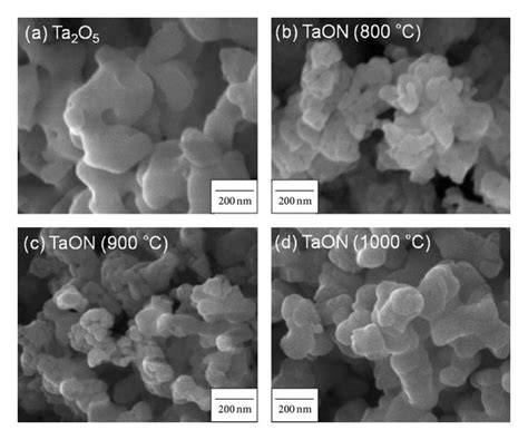 Scanning electron micrographs SEMs of the precursor Ta2O5 and β TaON