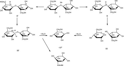 Acid Catalyzed Hydrolysis Mechanism