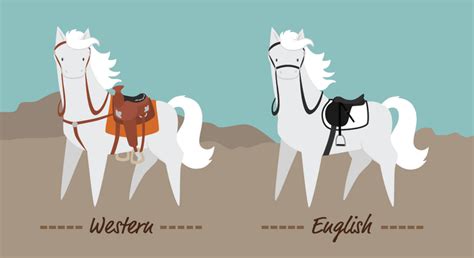 Western Riding Vs English Riding Key Differences Explained