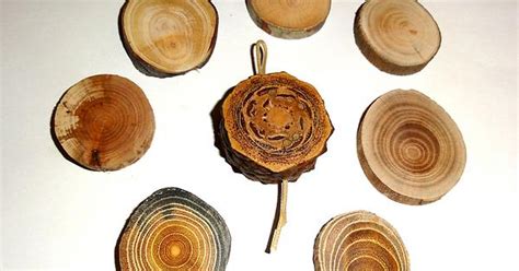 Natural Wood Slices Pine Cone Slice Jewelry Supplies Findings Album On Imgur