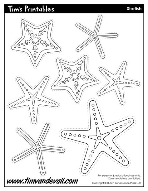 Starfish Template Sea Star Templates For Preschool Art