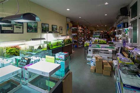 Aqua Forest Aquarium | Aquariums & Accessories