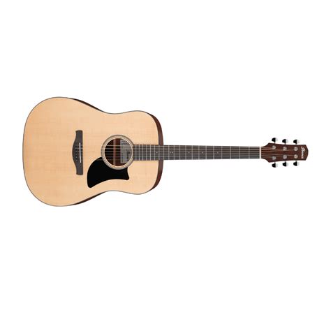 Ibanez AAD50 Advanced Acoustic Grand Dreadnought Guitar (Natural) - Talentz