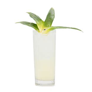 Palm Tree Paradise Recipe Blue Chair Bay Rum