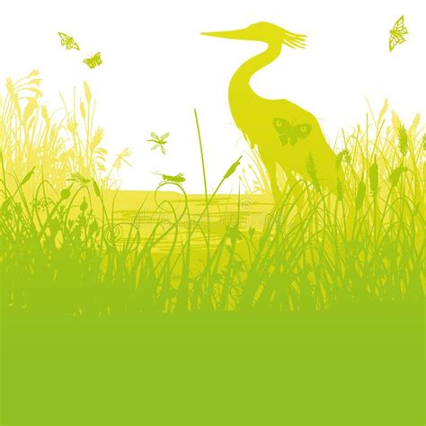 The Heron On The Lake On Sunset Stock Vector Illustration Of