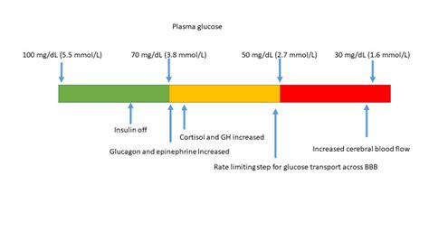 Hypoglycemia In Neonates Infants And Children Endotext Ncbi Bookshelf