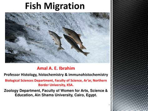 (PDF) Fish migration