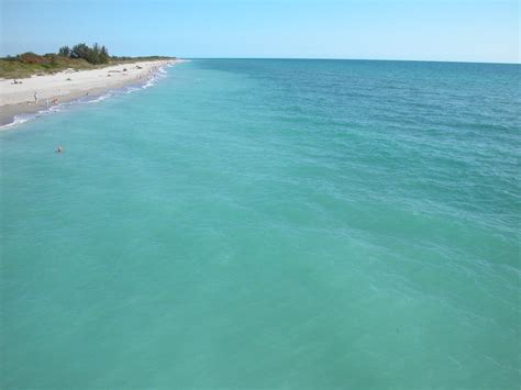 Snorkeling Venice Beach, Florida - Shark Teeth are the main attraction.