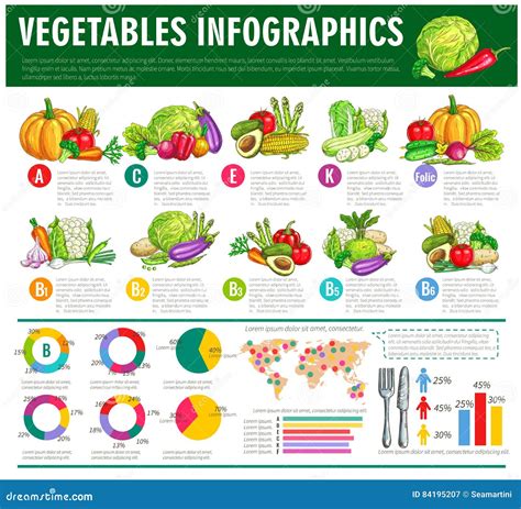 Vegetables Healthy Food Vector Infographics Stock Vector - Illustration ...