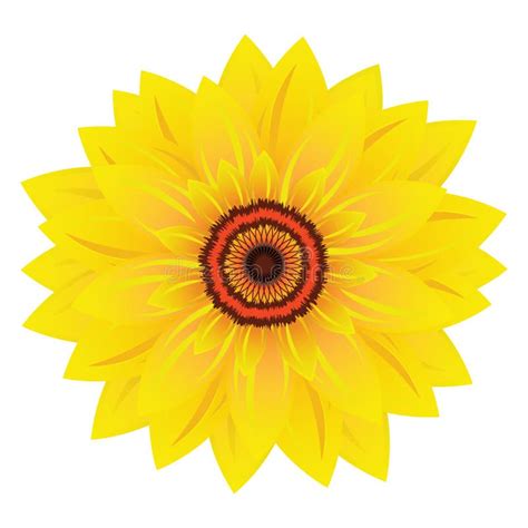 Icono Del Vector De La Plantilla Del Logotipo Del Girasol Ilustraci N