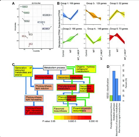 Expression Patterns Of Degs In Different Samples And Their Enrichment