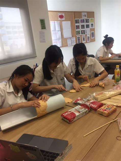 cell model project muids fern