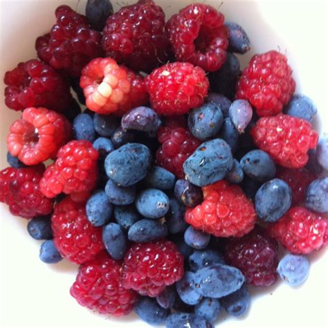 Harvesting raspberries and haskup | Raspberry, Mind body soul, Food