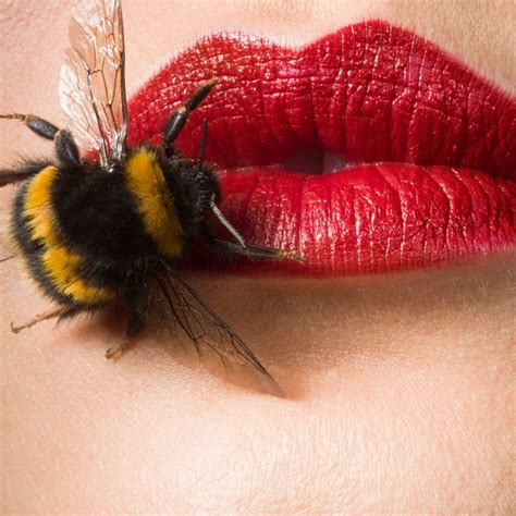 Bee Venom: The Acne-Busting Ingredient You Don't Know About Yet | Allure