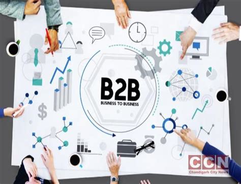 8 digital marketing strategies for B2B companies - Chandigarh City News