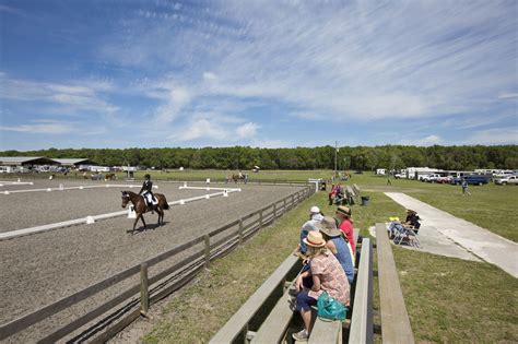 The Florida Horse Park Ocalas Jewel Visit Florida Ocala Visit