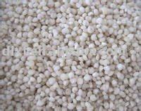 White Sorghum Grains Cameroon Price Supplier Food