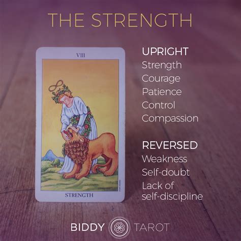 Strength Tarot Card Meanings Biddy Tarot