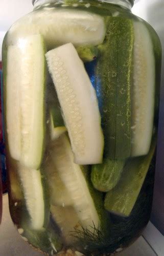 Daves Cupboard Quick Cold Pack Pickles