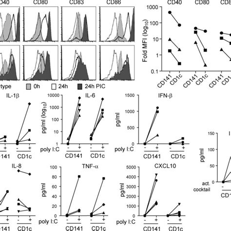 Cd141⁺ Dcs Secrete Ifn β Cxcl10 And Il 12p70 A Expression Of