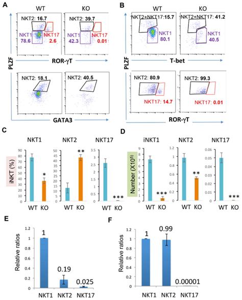 The Lysine Acetyltransferase Gcn Is Required For Inkt Cell Development