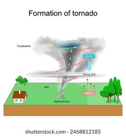 Tornado Formation Severe Weather Tornadogenesis Thunderstorm Stock Vector (Royalty Free ...