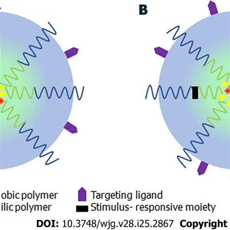 Polymeric Micelles For Dual Drug Delivery A Both Drugs Are Physically