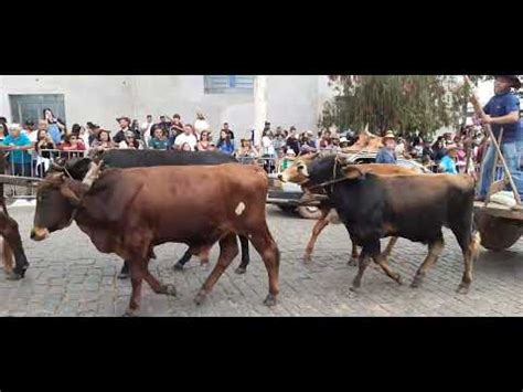 Festa do Peão e do Carro de Boi de Crucilândia edição 2023 YouTube