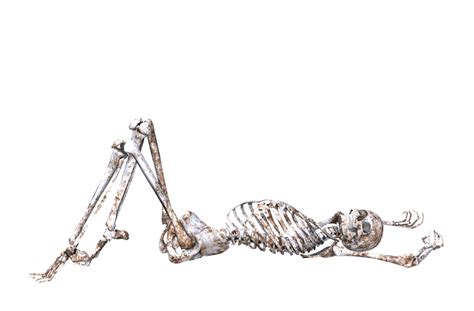 Skeleton Png