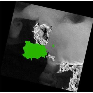 Superimposition Between The Orthorectified Image Obtained Using A