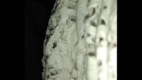 Medias Videos XVIDEOS