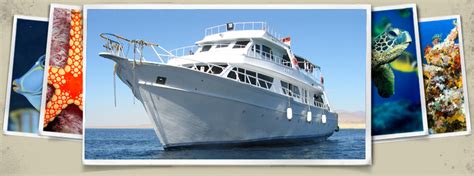 Diving in Red Sea, diving red sea, liveaboard, snorkeling