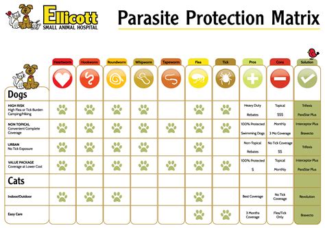 Protecting Your Pet/Parasite Protection - Ellicott Street Animal Hospital