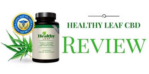 Healthy Leaf CBD Reviews | Best CBD Oil Capsules Reduce Depression