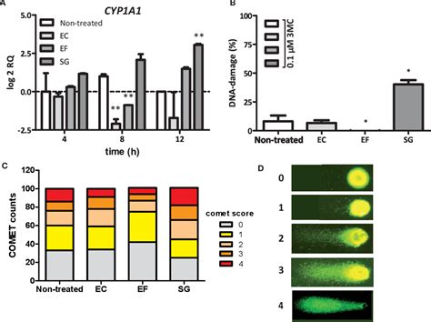 Table 1 From Streptococcus Gallolyticus Increases Expression And