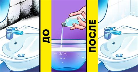 Как убрать плесень со стены / Бери и делай