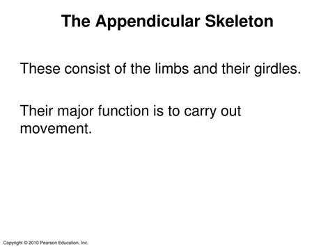 Ppt The Appendicular Skeleton Powerpoint Presentation Free Download